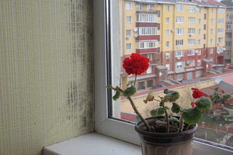 Стан після Енергоаудит квартири Івано-Франківськ Енергоаудит житлової квартири